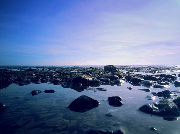 海滩, 海, 滨, 水, 性质, 景观