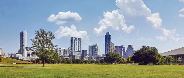 Baum,Gras,Horizont,Himmel,die Architektur,Skyline