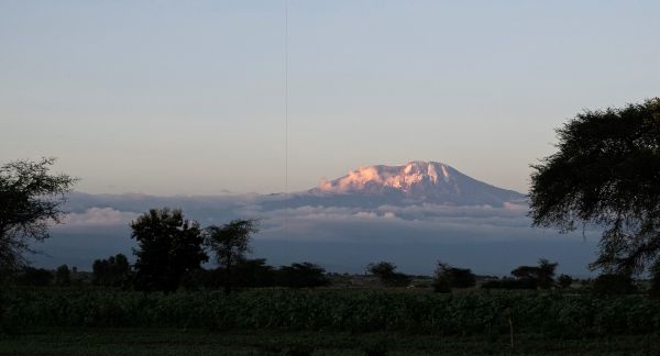 風景,自然,地平線,荒野,山,木