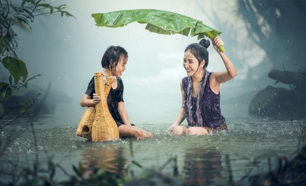 木,水,自然,草,屋外,人