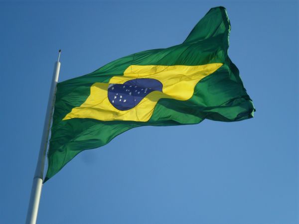 vento, verde, bandeira, folha, flor, amarelo