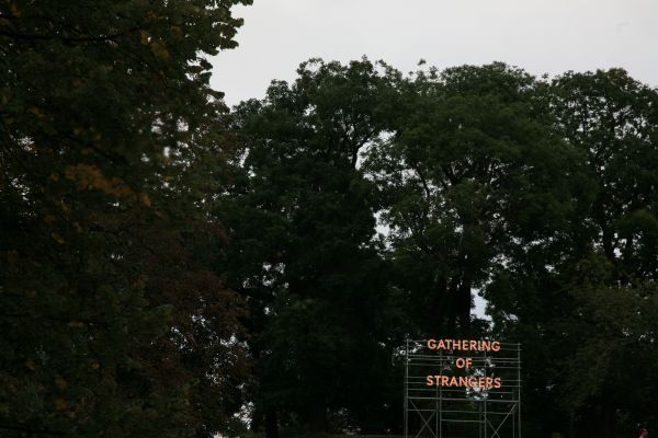 árbol, naturaleza, banco, París, bosque, planta