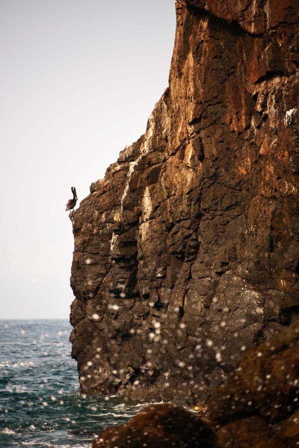 Landschaft,Meer,Küste,Natur,Rock,Ozean