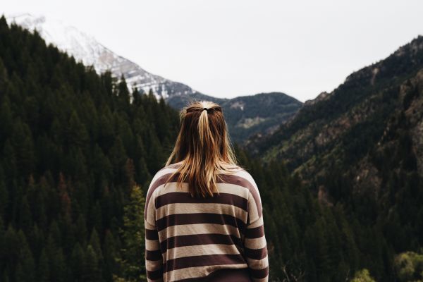 nature,forest,tree,rock,wilderness,walking