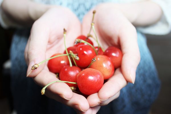 plant,fruit,sweet,hand,people,flower