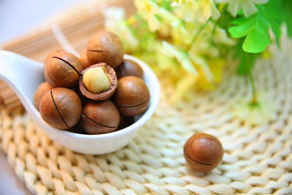 Comida,produzir,noz,coco,avelã,castanha