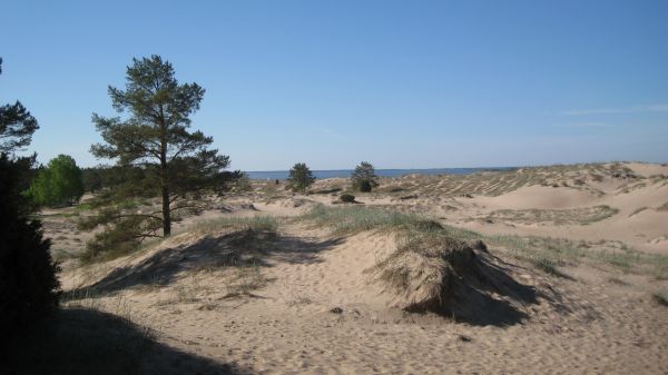 strand,landschap,zand,woestijn,duin,de lente