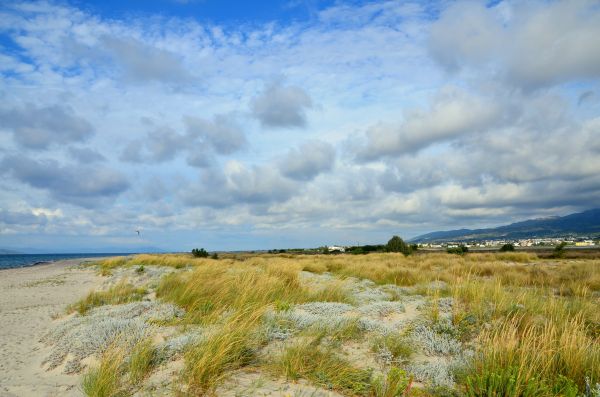 landschap, natuur, gras, zand, zee, kust