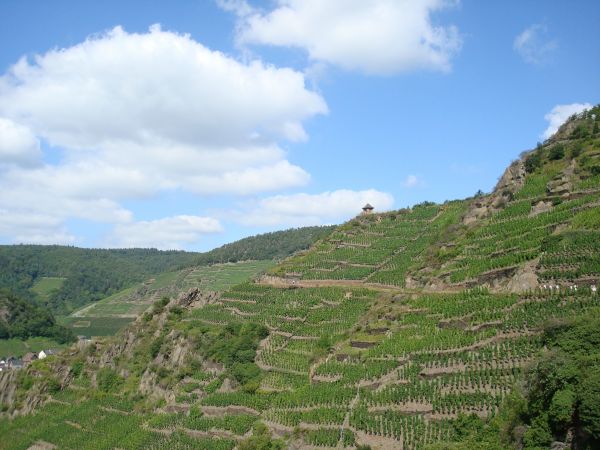 Landschaft, Natur, Berg, Himmel, Wein, Feld