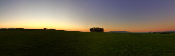 panorama, árvore, natureza, grama, horizonte, montanha