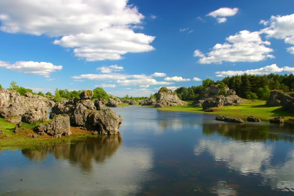 zee,water,natuur,landschap,boom,wolk