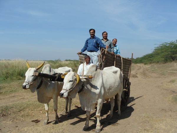 paisaje,gente,carro,rústico,viajar,transporte