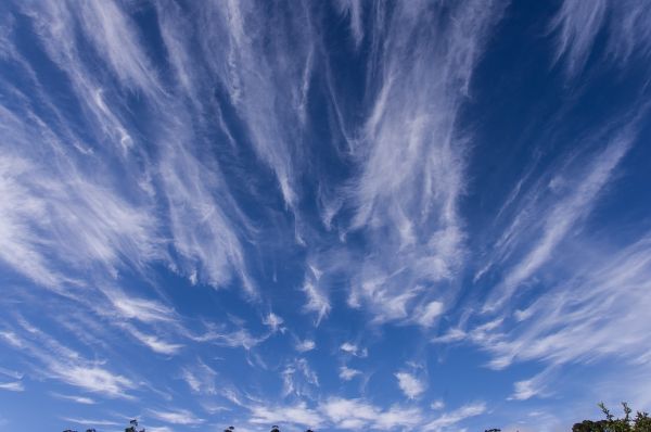 orizzonte, nube, cielo, bianca, luce del sole, alba