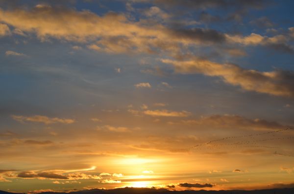 風景, 海, 自然, 地平線, 雲, 空