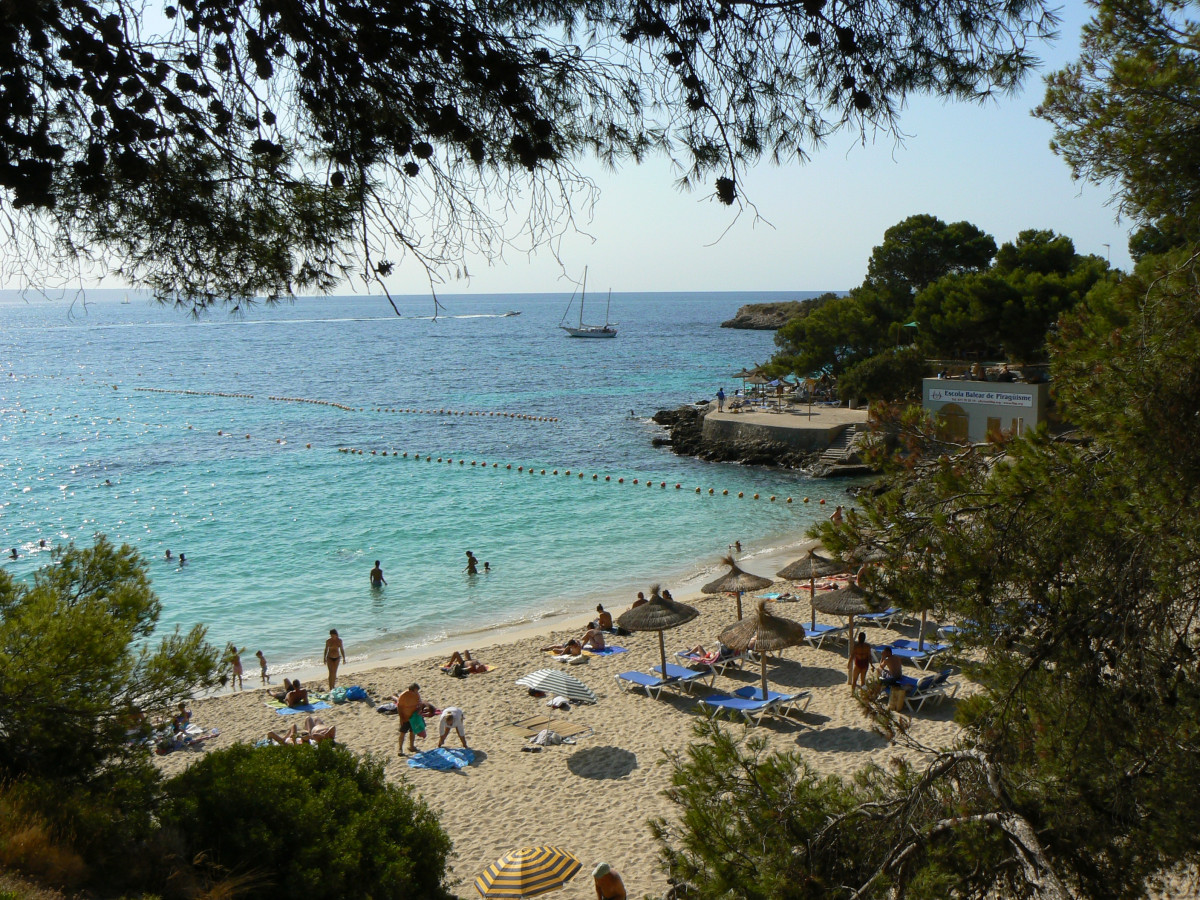 Strand, Meer, Küste, Wasser, Ozean, Ufer, Ferien, Kiefer, Bucht, Bucht, Gewässer, Mallorca, Cala, blaues Wasser