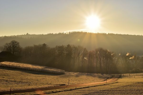 landskap, tre, natur, horisont, fjell, Sky