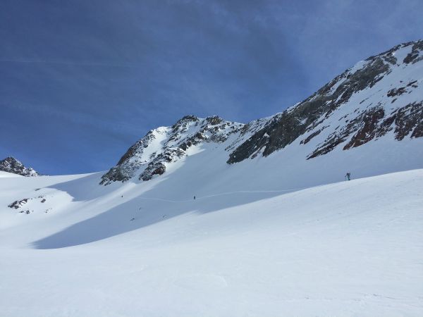 景观,性质,山,雪,冷,冬季