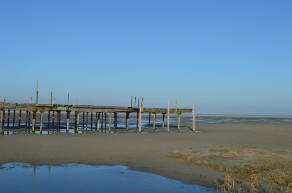 plage, mer, côte, eau, le sable, océan