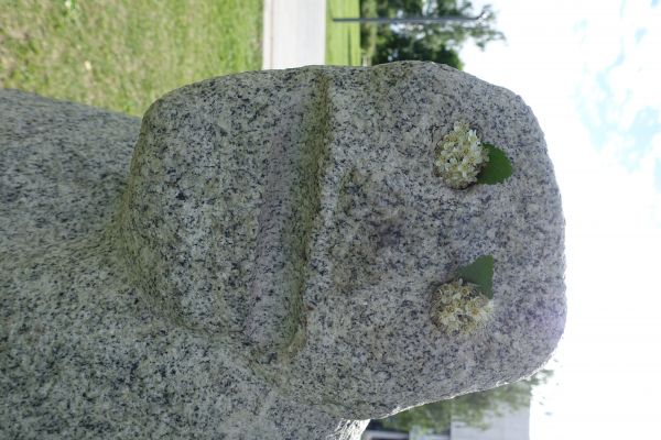 Rock, Monument, Friedhof, Grab, Blumen, Gesicht