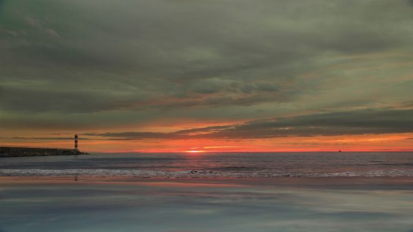 ビーチ,海,海岸,水,海洋,地平線