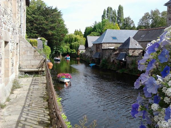 floare,oraș,râu,canal,sat,grădină