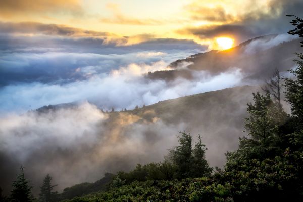 paesaggio,natura,foresta,montagna,nube,cielo