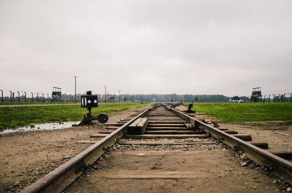 traccia,trasporto,autostrada,rotaia,treno,veicolo