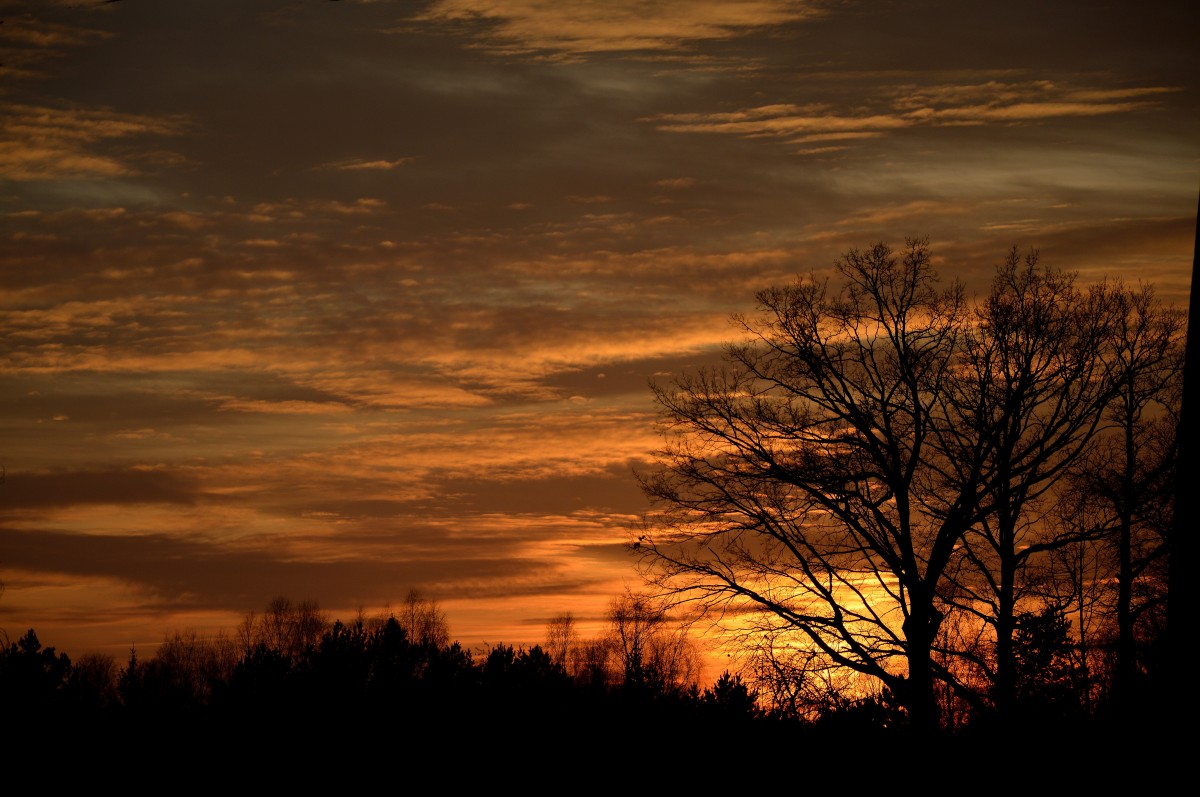 Landschaft, Baum, Natur, Horizont, Licht, Wolke, Himmel, Sonne, Sonnenaufgang, Sonnenuntergang, Feld, Prärie, Sonnenlicht, Morgen, Aussicht, Dämmerung, Atmosphäre, Panorama, Dämmerung, Abend, Dämmerung, Landschaft, West-, Schatten, Wolken, Geäst, Stimmung, Die Sonne, Nachglühen, Die Strahlen, Abendwolken, Atmosphärisches Phänomen, Roter himmel am morgen