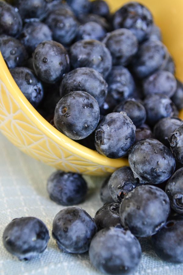 Pflanze, Frucht, Beere, Lebensmittel, produzieren, Blaubeere