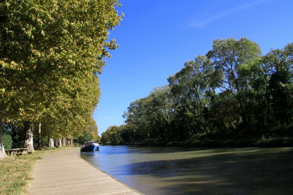 krajobraz, plaża, morze, Wybrzeże, drzewo, woda