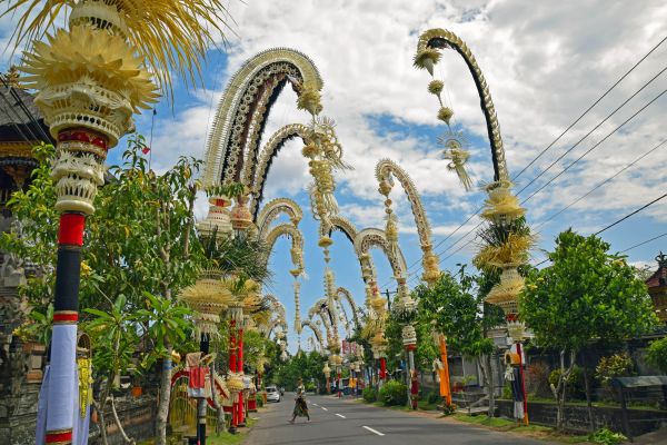 木,花,ダウンタウン,旅行,レクリエーション,アーチ