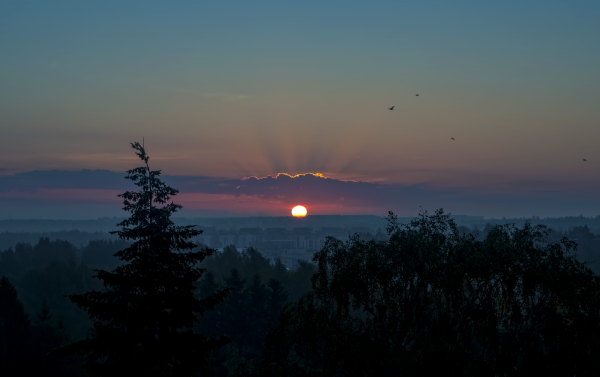 horizon,nuage,ciel,Montagne,Soleil,lever du soleil