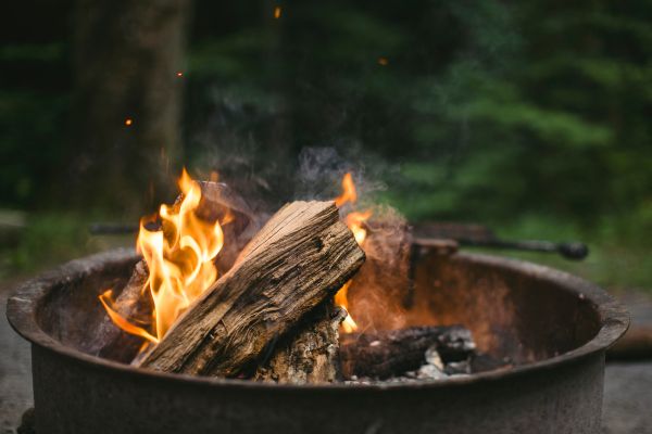 fogo,Fogueira,madeira,registro,carne,churrasco