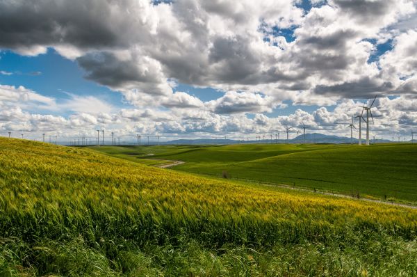 пейзаж,дърво,природа,трева,хоризонт,планина