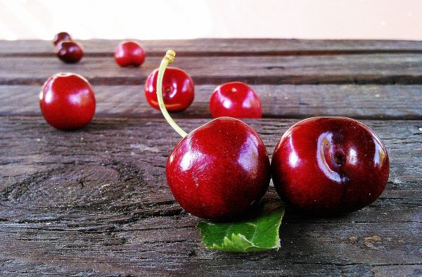 maçã,plantar,fruta,baga,doce,haste