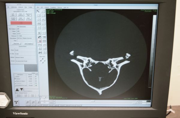 biológia,emberi test,szerv,radiológia,geológia,számítógép monitor