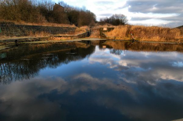 panorama,árvore,agua,natureza,região selvagem,manhã