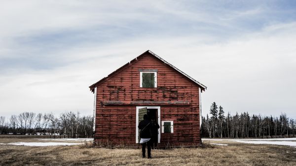 trä,odla,hus,byggnad,vinter-,arkitektur