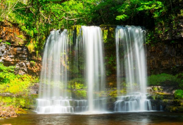 árbol,agua,bosque,cascada,otoño,río