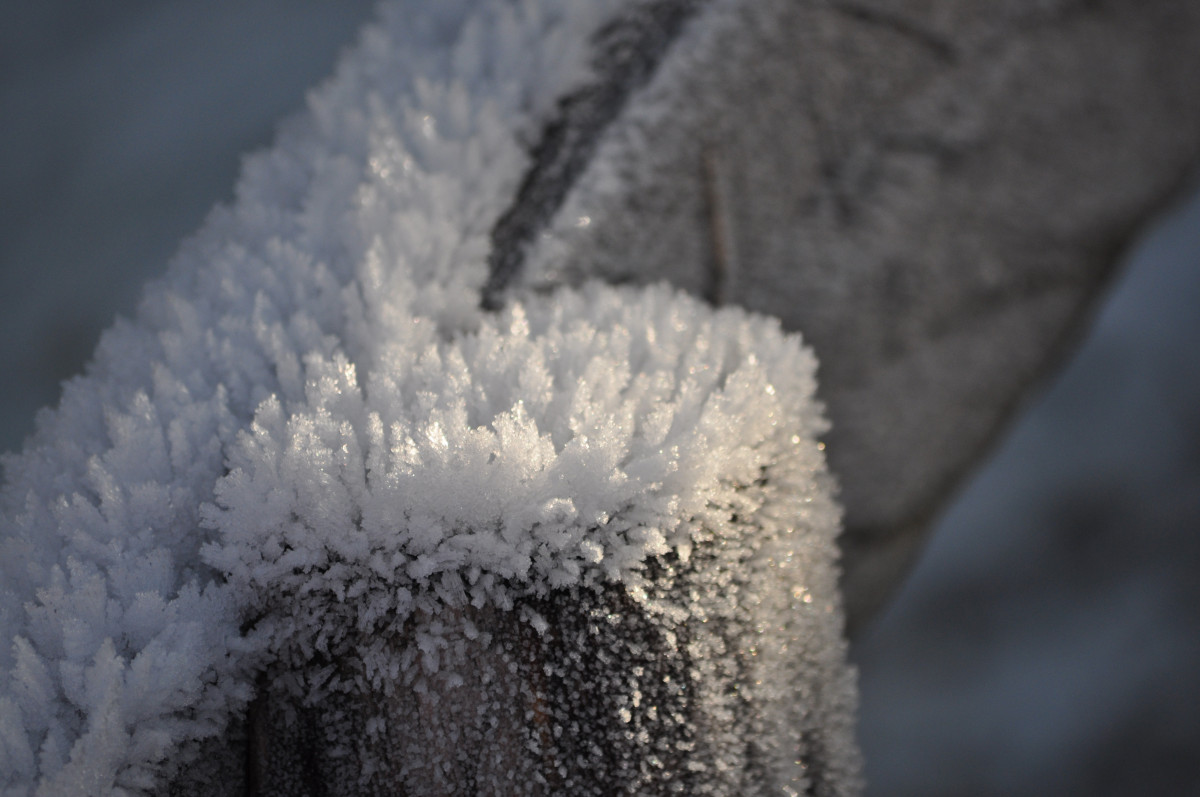 natureza, ramo, neve, frio, inverno, cerca, branco, flor, geada, maduro, gelo, clima, solo, estação, fechar-se, congelando, Macro fotografia, Cristais