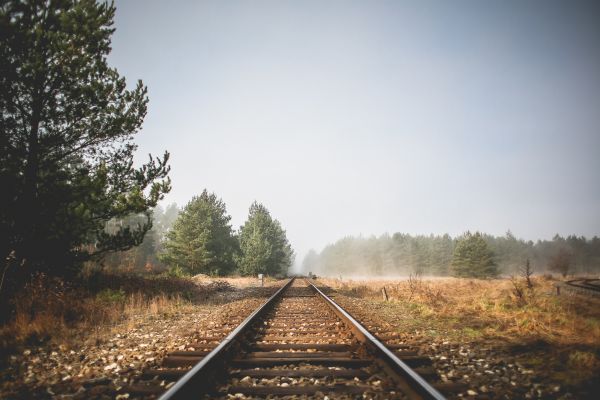 landscape,tree,nature,track,railroad,field