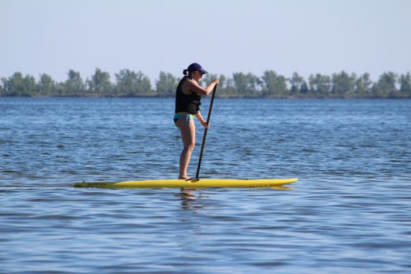 air,mendayung,papan dayung,musim panas,wakeboarding,olahraga