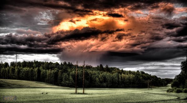 landskab,natur,horisont,Sky,himmel,træ