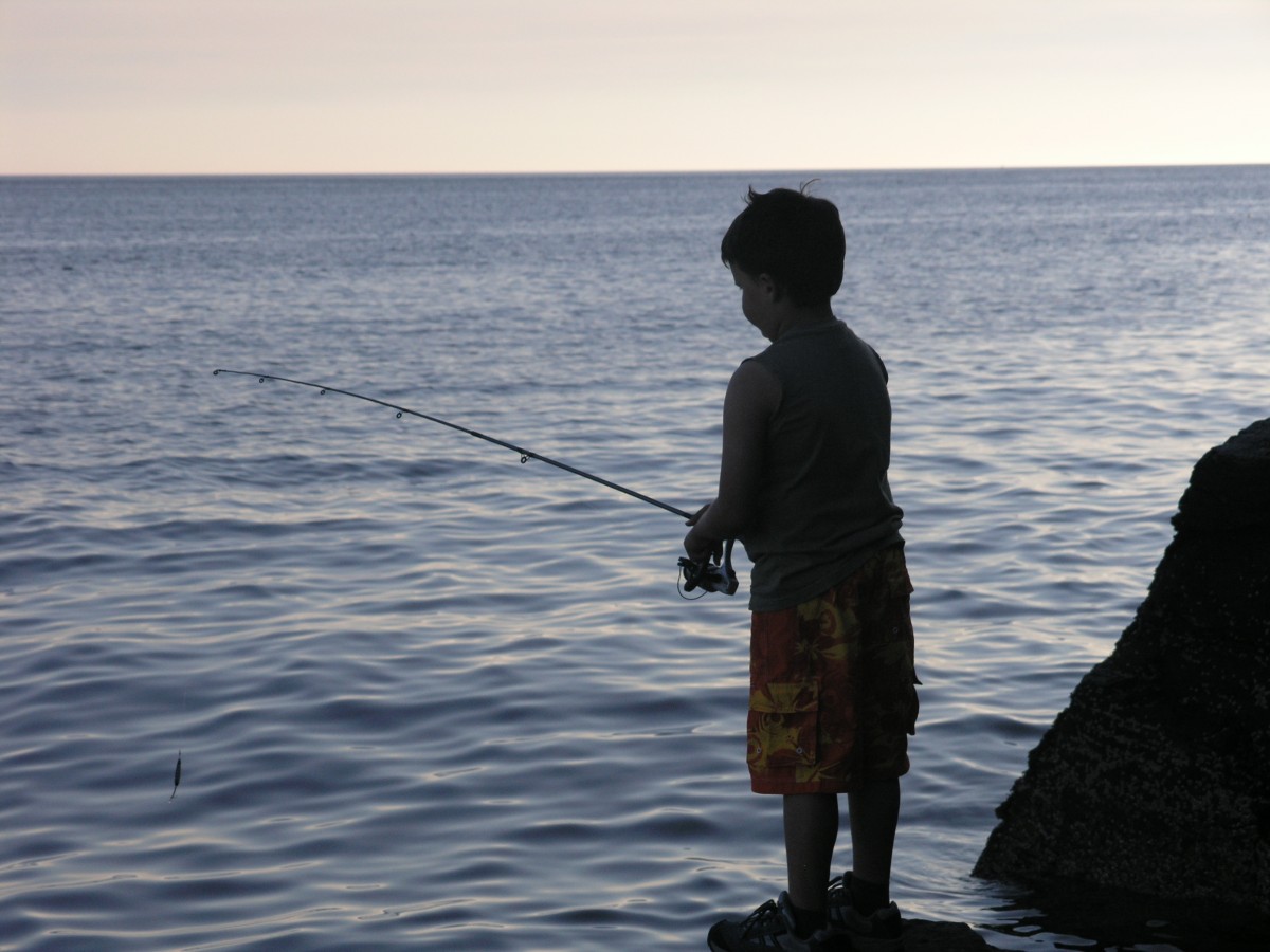 mare, costa, acqua, natura, oceano, persona, ragazzo, ragazzo, estate, maschio, ricreazione, giovane, pesca, pescatore, baia, bambino, pesce, tempo libero, infanzia, attività, figlio, all'aperto, divertimento, pescatore, attraente, pescatore, ricreazione all'aperto