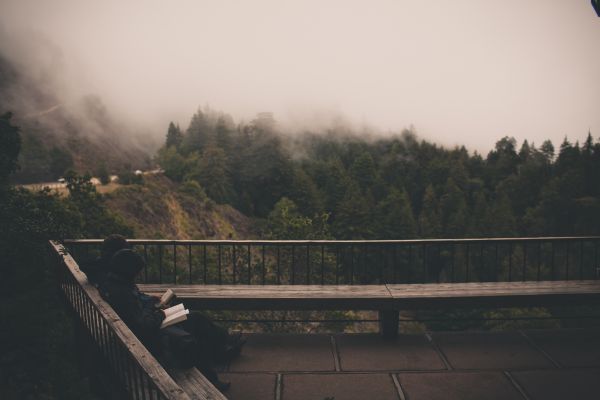 water,book,cloud,fog,mist,bridge