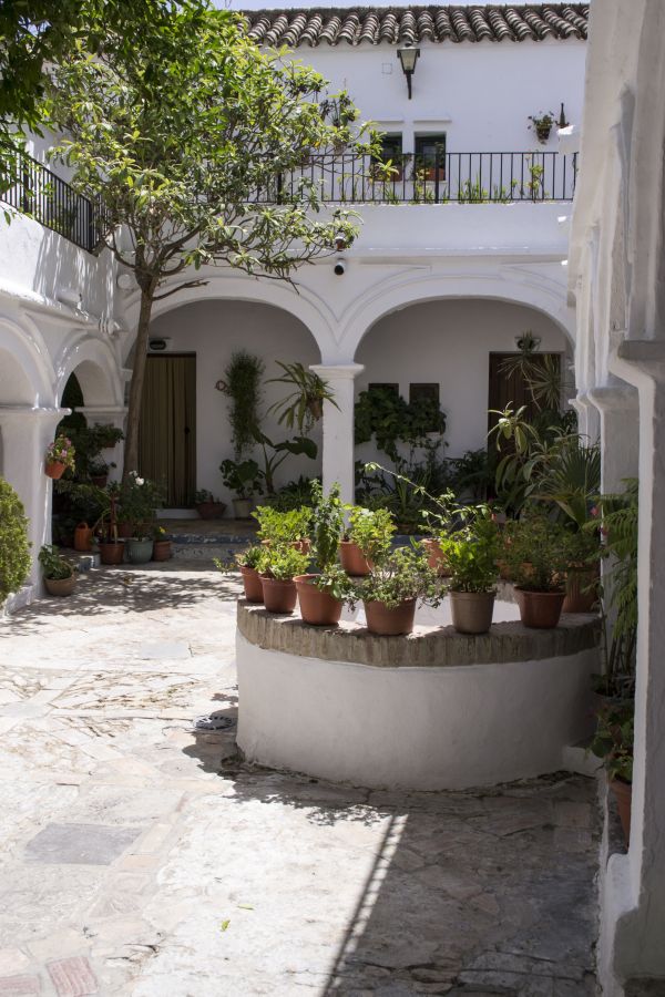 flor, cabaña, patio interior, villa, casa, casa