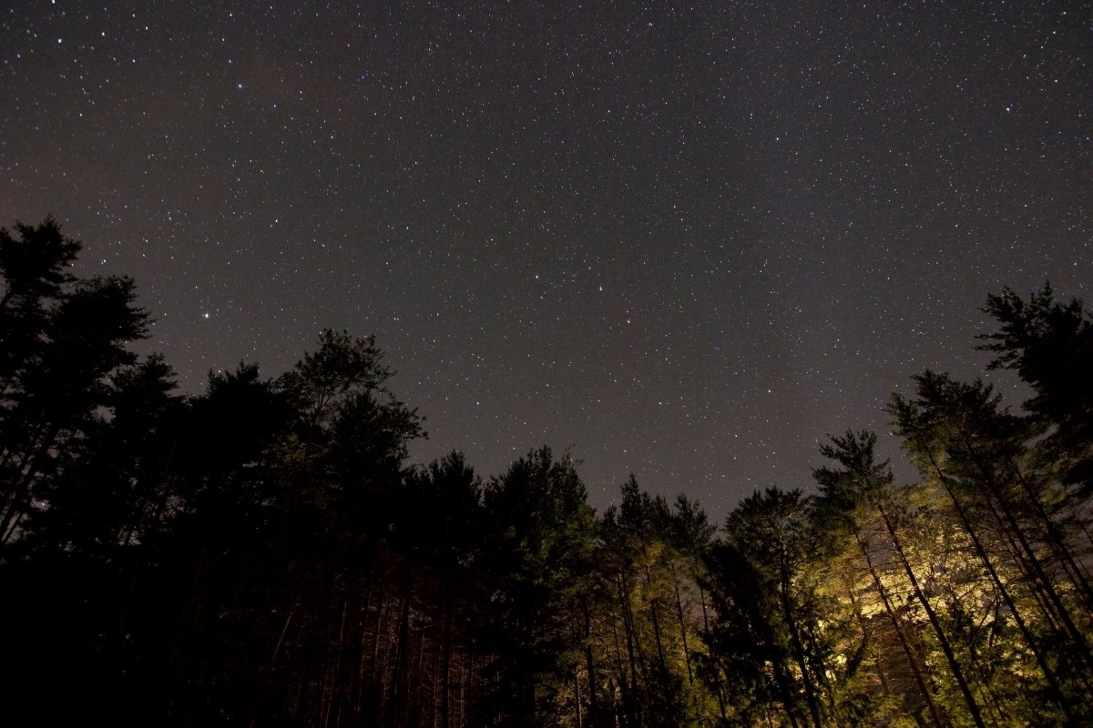 natur, Skov, himmel, nat, stjerne, atmosfære, mørk, konstellation, plads, glød, mørke, sort, galakse, aurora, glimte, over, træer, stjerneklar, astronomi, stjerner, univers, midnat, lysende, himmellegeme