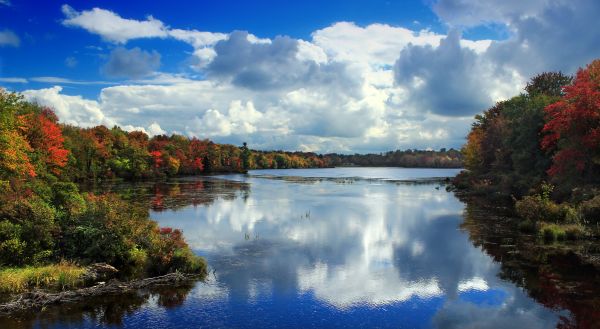 landschap,boom,natuur,wolk,water,berg-