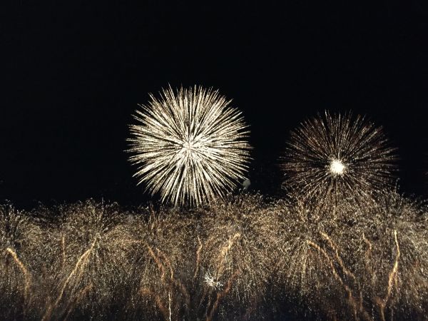 光,夜,花,レクリエーション,お祝い,花火