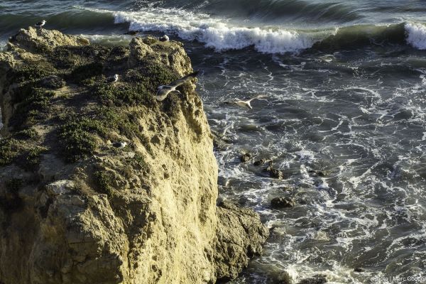 strand, hav, kyst, vand, natur, klippe